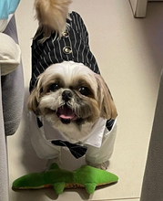 Load image into Gallery viewer, Formal Gentleman Dog Clothes For Wedding Tuxedo Suit