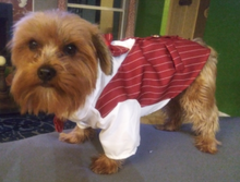 Load image into Gallery viewer, Formal Gentleman Dog Clothes For Wedding Tuxedo Suit