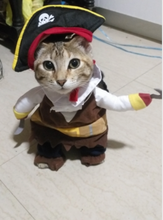 Load image into Gallery viewer, Pirate Pet Costume for Halloween