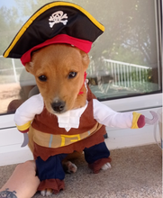 Load image into Gallery viewer, Pirate Pet Costume for Halloween