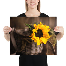 Load image into Gallery viewer, 'Sunflower In A Basket' Poster