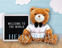 Load image into Gallery viewer, &#39;Lulu&#39;s Luxuries&#39; Teddy Bear with T-Shirt
