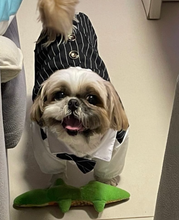 Load image into Gallery viewer, Formal Gentleman Dog Clothes For Wedding Tuxedo Suit
