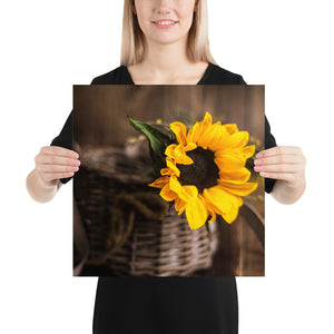 'Sunflower In A Basket' Poster