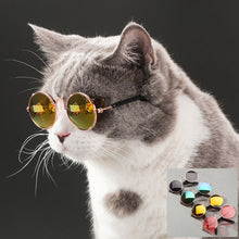 Load image into Gallery viewer, Novelty Pet Glasses
