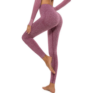 Seamless High Waist Yoga Leggings