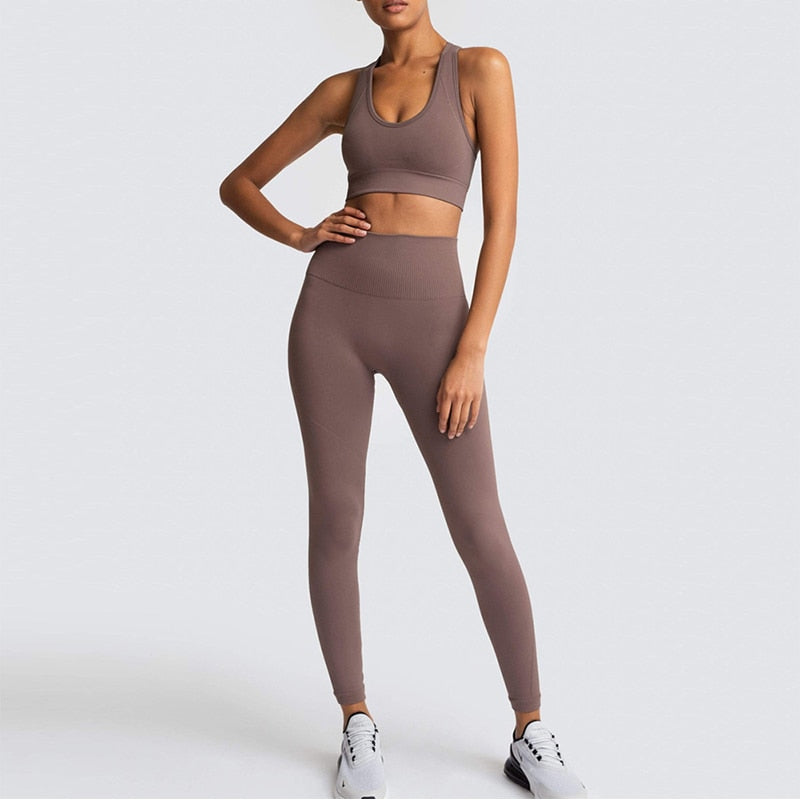2pc Women's Seamless Yoga Fitness Activewear Set – Lulu's Luxuries